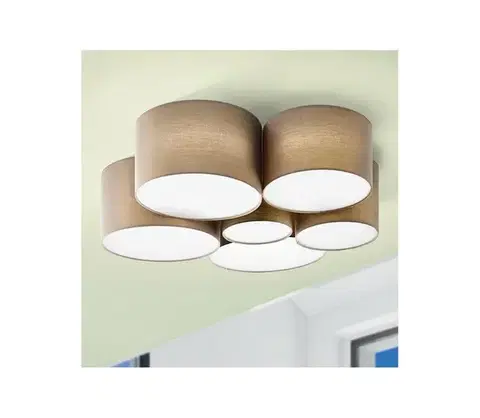 Svietidlá Eglo 98409 - Stropné svietidlo PASTORE 6xE27/40W/230V 98409