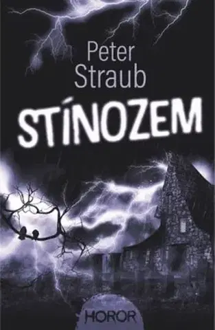 Sci-fi a fantasy Stínozem - Peter Straub