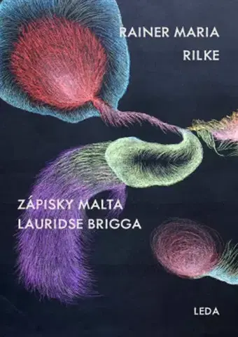 Svetová beletria Zápisky Malta Lauridse Brigga - Rainer Maria Rilke,Josef Suchý
