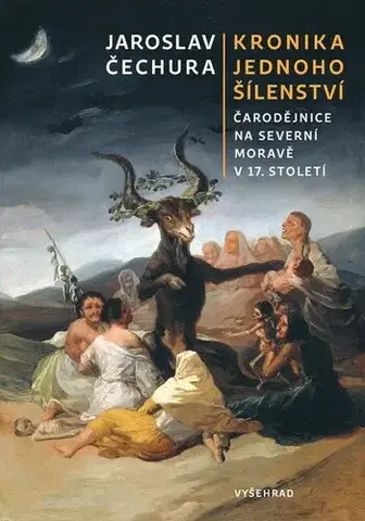 Slovenské a české dejiny Kronika jednoho šílenství - Jaroslav Čechura
