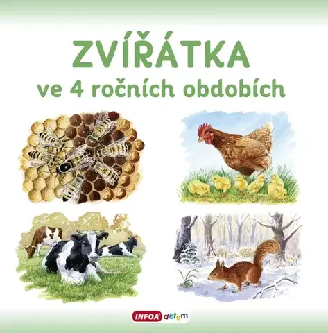 Príroda Zvířátka ve 4 ročních obdobích