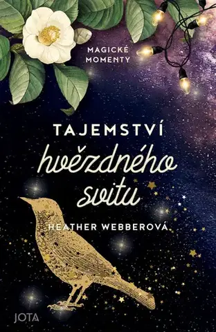Romantická beletria Tajemství hvězdného svitu - Heather Webberová