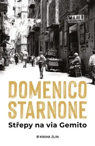 Svetová beletria Střepy na via Gemito - Domenico Starnone