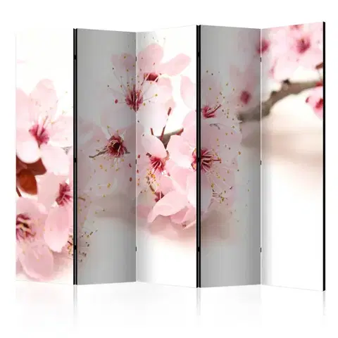 Paravány Paraván Cherry Blossom Dekorhome