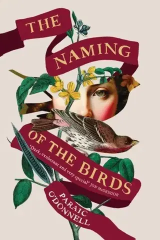 Detektívky, trilery, horory The Naming of the Birds - Paraic O'Donnell