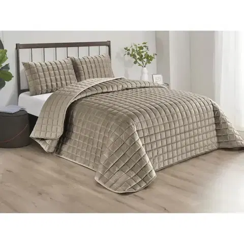 Prehozy na posteľ Prikrývka na posteľ 170x220 cm béžová