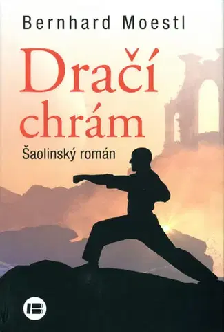 Svetová beletria Dračí chrám - Bernhard Moestl