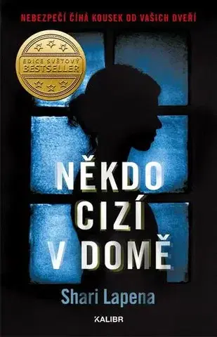Detektívky, trilery, horory Někdo cizí v domě - Shari Lapena