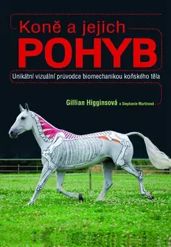 Kone Koně a jejich pohyb - Gillian Higginsová