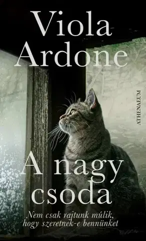 Svetová beletria A nagy csoda - Viola Ardone,Anna Todero