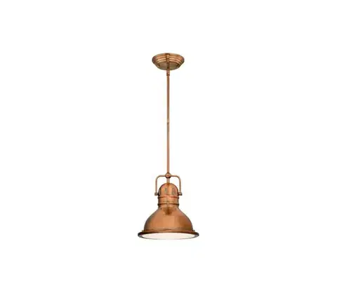 Svietidlá Westinghouse 6308440 - Luster na tyči BOSWELL 1xE27/60W/230V 6308440