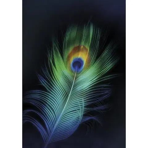 Obrazy Plátno maľba Peacock Eye