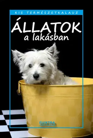 Zvieratá, chovateľstvo - ostatné Állatok a lakásban - István Bernáth