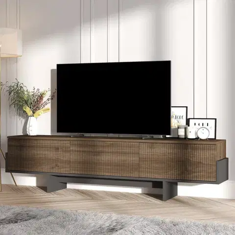 TV stolíky TV stolík Hege - Walnut, Black