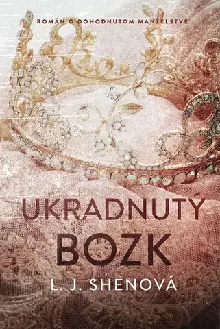 Romantická beletria Ukradnutý bozk - L. J. Shen