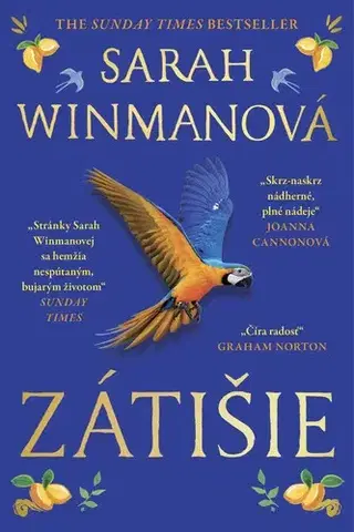 Svetová beletria Zátišie - Sarah Winman,Daniela Šinková