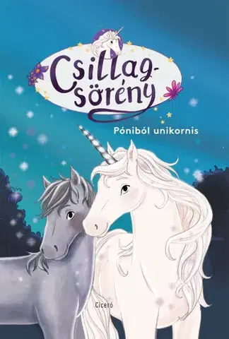 Rozprávky Póniból unikornis - Csillagsörény - Linda Chapmanová