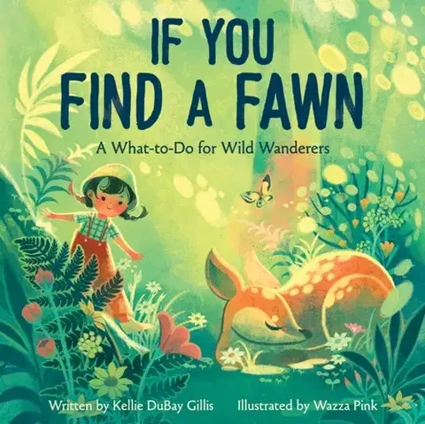 Leporelá, krabičky, puzzle knihy If You Find a Fawn - Kellie DuBay Gillis