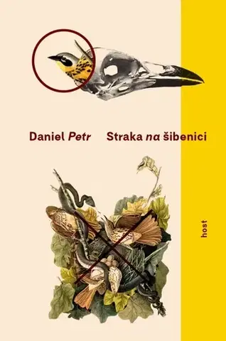 Romantická beletria Straka na šibenici - Daniel Petr