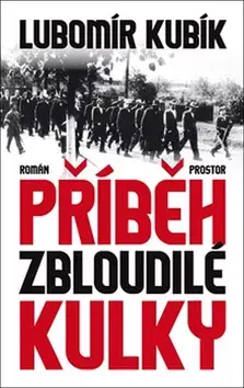 Historické romány Příběh zbloudilé kulky - Lubomír Kubík