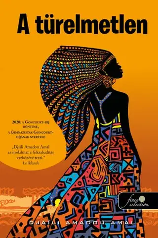Svetová beletria A türelmetlen - Djaili Amadou Amal,Monika Burjan