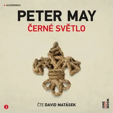 Detektívky, trilery, horory OneHotBook Černé světlo