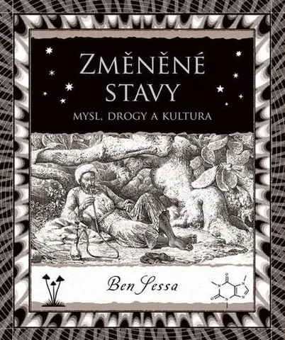 Odborná a náučná literatúra - ostatné Změněné stavy - Ben Sessa