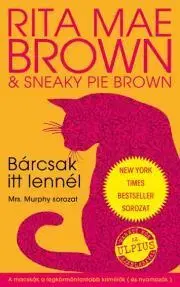 Detektívky, trilery, horory Bárcsak itt lennél - Brown Rita Mae