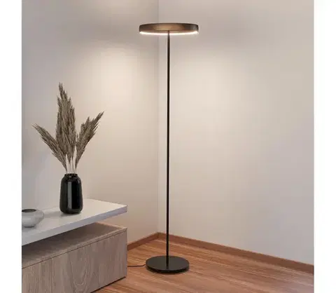 Lampy Eglo 390452 - LED stmievateľná stojacia lampa TRABUCO 2xLED/19W/230V 2200-6500K hnedá 390452