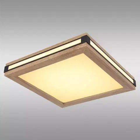 Lampy do obývačky Stropná lampa 41589D1 LED 12W PL1