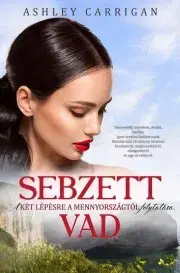 Erotická beletria Sebzett vad - Ashley Carrigan