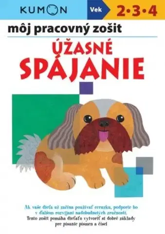 Príprava do školy, pracovné zošity Úžasné spájanie: Môj pracovný zošit - Kolektív autorov