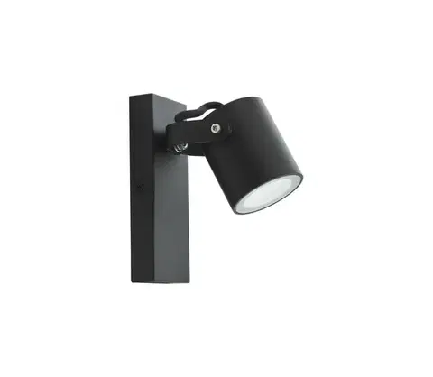 Svietidlá  Vonkajšie nástenné svietidlo PINO 1xGU10/10W/230V IP44 311573