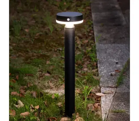 LED osvetlenie Zuma Line PT33613 - LED Solárna lampa CARLI LED/4,5W/2000 mAh IP44 čierna PT33613