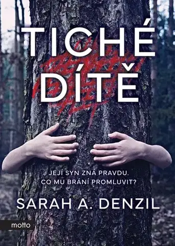 Detektívky, trilery, horory Tiché dítě - Sarah A. Denzil,Lucie Libovická