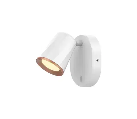 Svietidlá Rabalux 5045 - LED Nástenné bodové svietidlo SOLANGE LED/6W/230V 5045