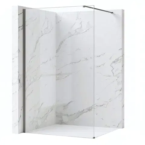 Sprchové dvere REA/S - Sprchová zástena Flexi Transparent / Titan 80 KPL-K99467