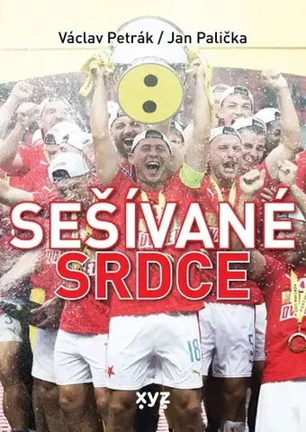 Umenie - ostatné Sešívané srdce - Jan Palička
