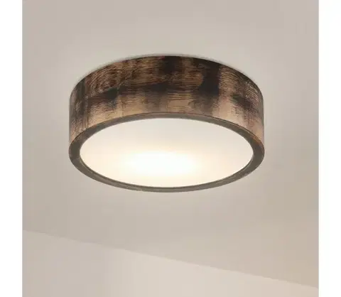 Svietidlá BRILAGI - Stropné svietidlo CARVALHO SMOKEY 1xE27/60W/230V dub pr. 27,5 cm LD-PD-6.1/SMOKY