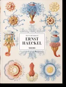 Biológia, fauna a flóra Haeckel - Rainer Willmann,Julia Voss
