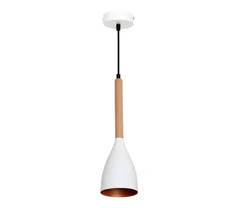 Svietidlá  Luster na lanku MUZA 1xE27/60W/230V 9106