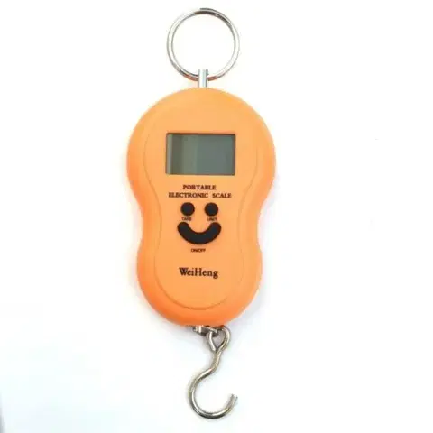 Rybárske váhy Kinekus Váha závesná mincier, nosnosť 50kg, DIGI