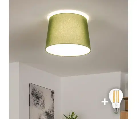 Svietidlá BRILAGI - LED Prisadený luster CERIA 1xE27/40W/230V pr. 30 cm zelený BG3991+EG781039