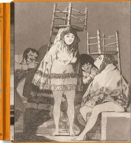 Maliarstvo, grafika Goya. The Complete Prints - Anna Reuter,Jose Manuel Matilla
