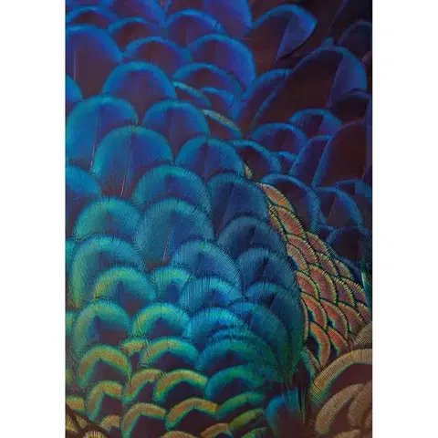 Obrazy Plátno maľba Multicolor Feathers