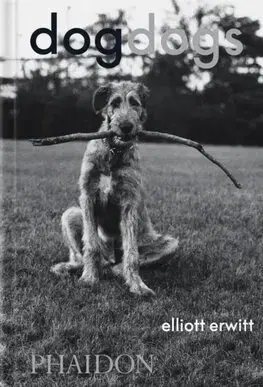 Fotografia DogDogs - Elliott Erwitt