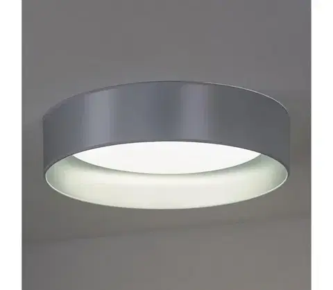 Svietidlá  - LED Stropné svietidlo ROLLER LED/24W/230V pr. 45 cm strieborná 605359