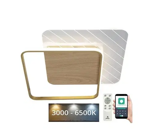 Svietidlá  LED Stmievateľné stropné svietidlo LED/60W/230V 3000-6500K + diaľkové ovládanie TB1304/GW