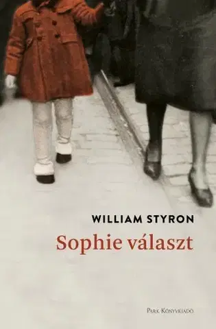 Romantická beletria Sophie választ - William Styron