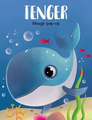 3D, magnetické, priestorové knihy Mozgó pop-up - Tenger
